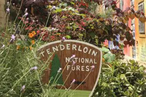 Tenderloin National Forest