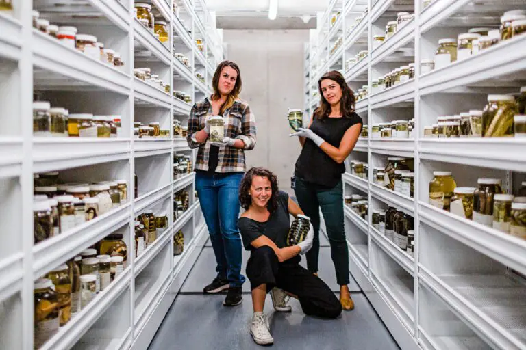 Cal Academy Herpetology Collection