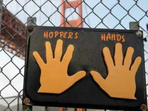 Hopper’s Hands