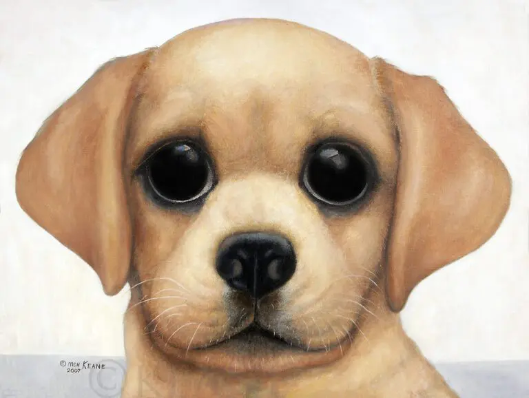 Big Eye Keane Paintings