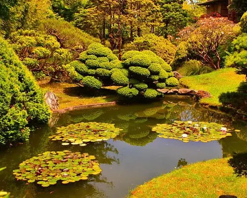 San Francisco Botanical Garden