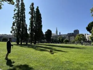 Washington Square Park