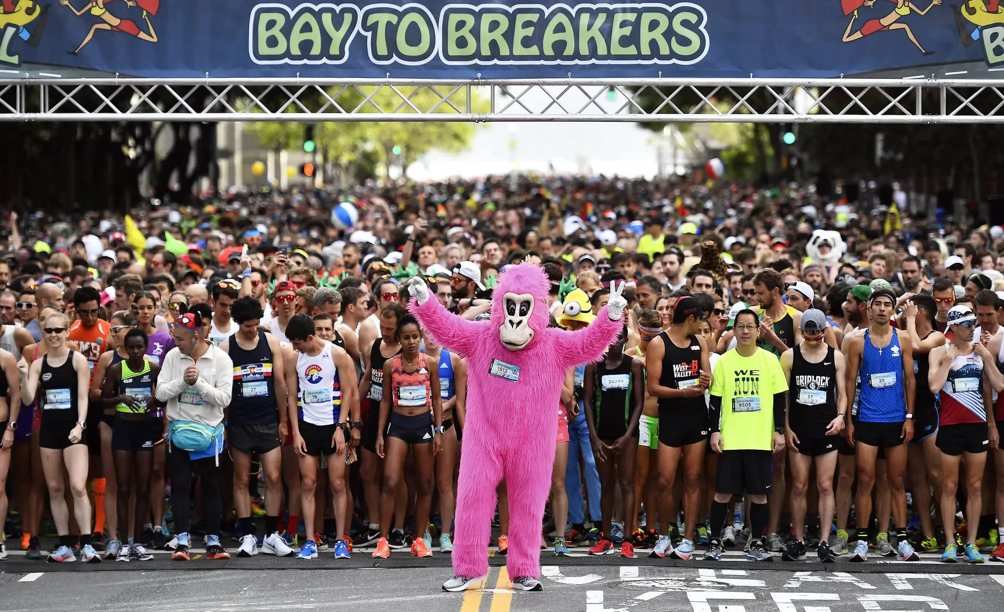 event-tbd-bay-to-breakers-2026-everything-you-need-2026-05-17-2