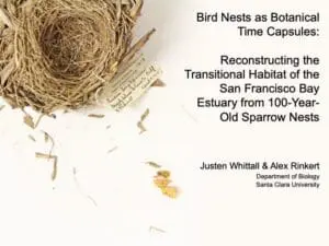 Birds Nests as Botanical Time Capsules