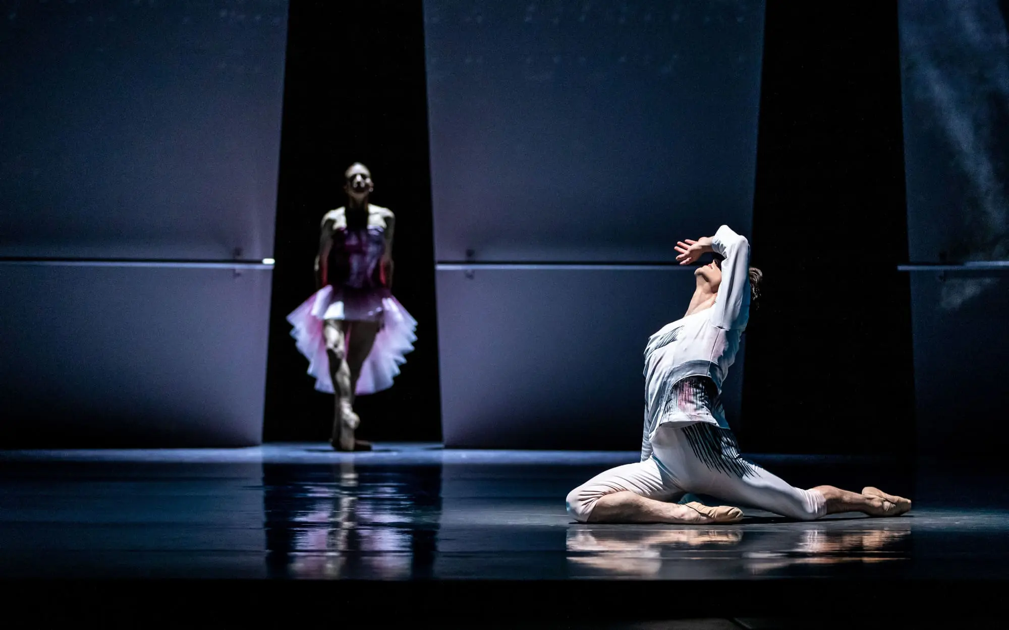 event-san-francisco-ballet-divine-creatures-2027-04-08