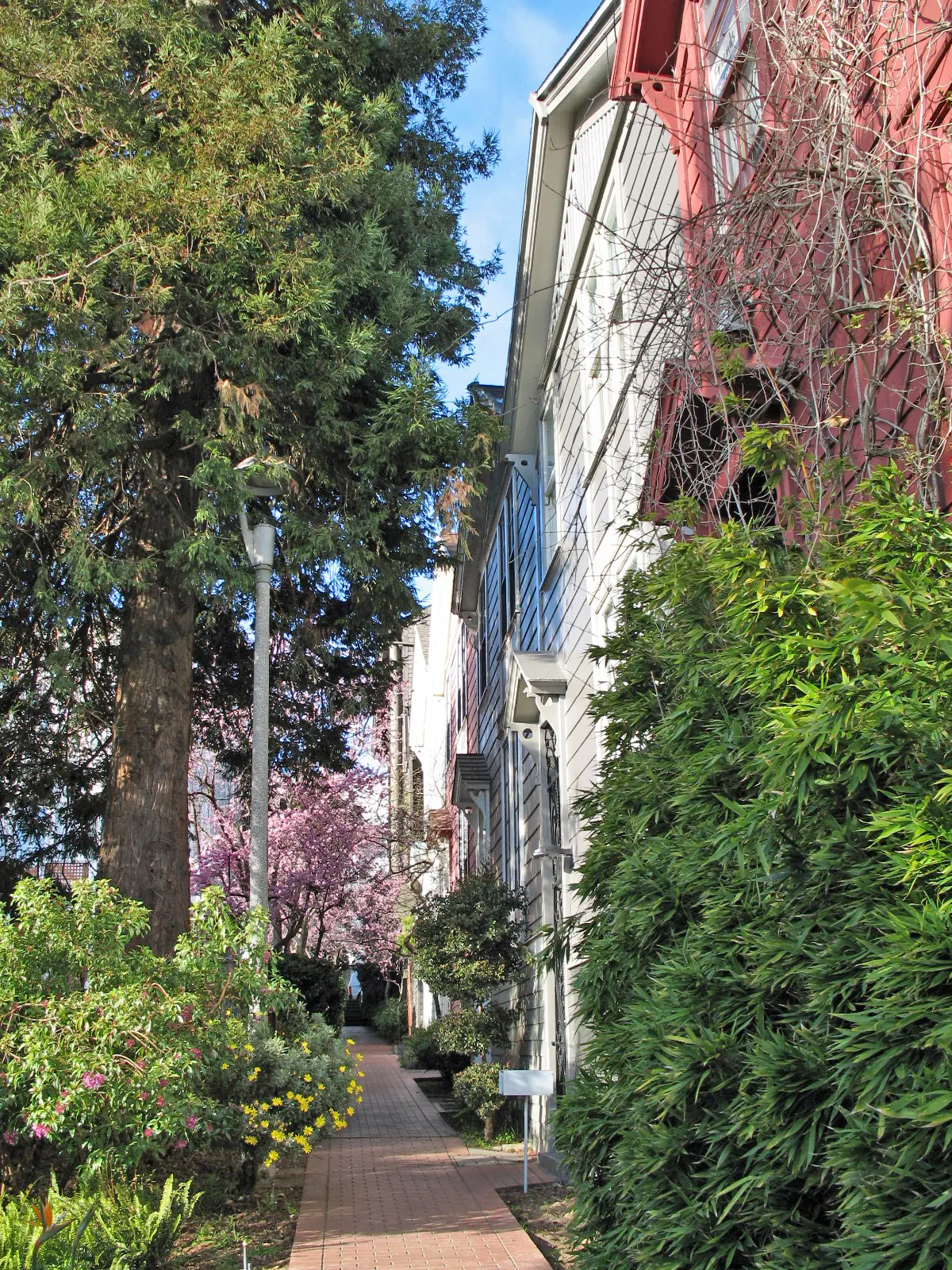 Cottage Row, San Francisco