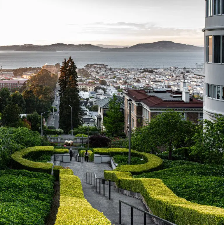 Pacific Heights