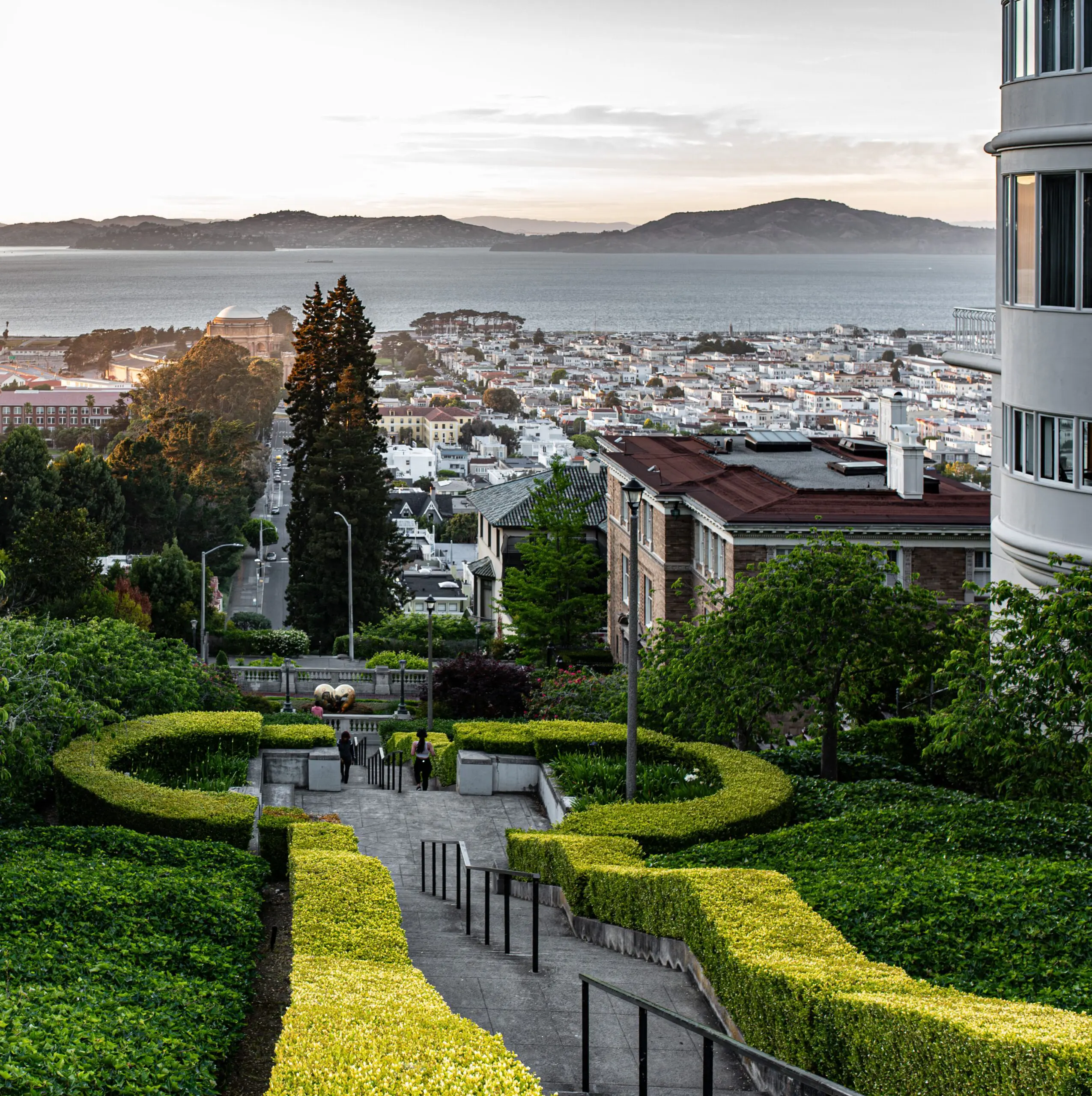 pacific heights