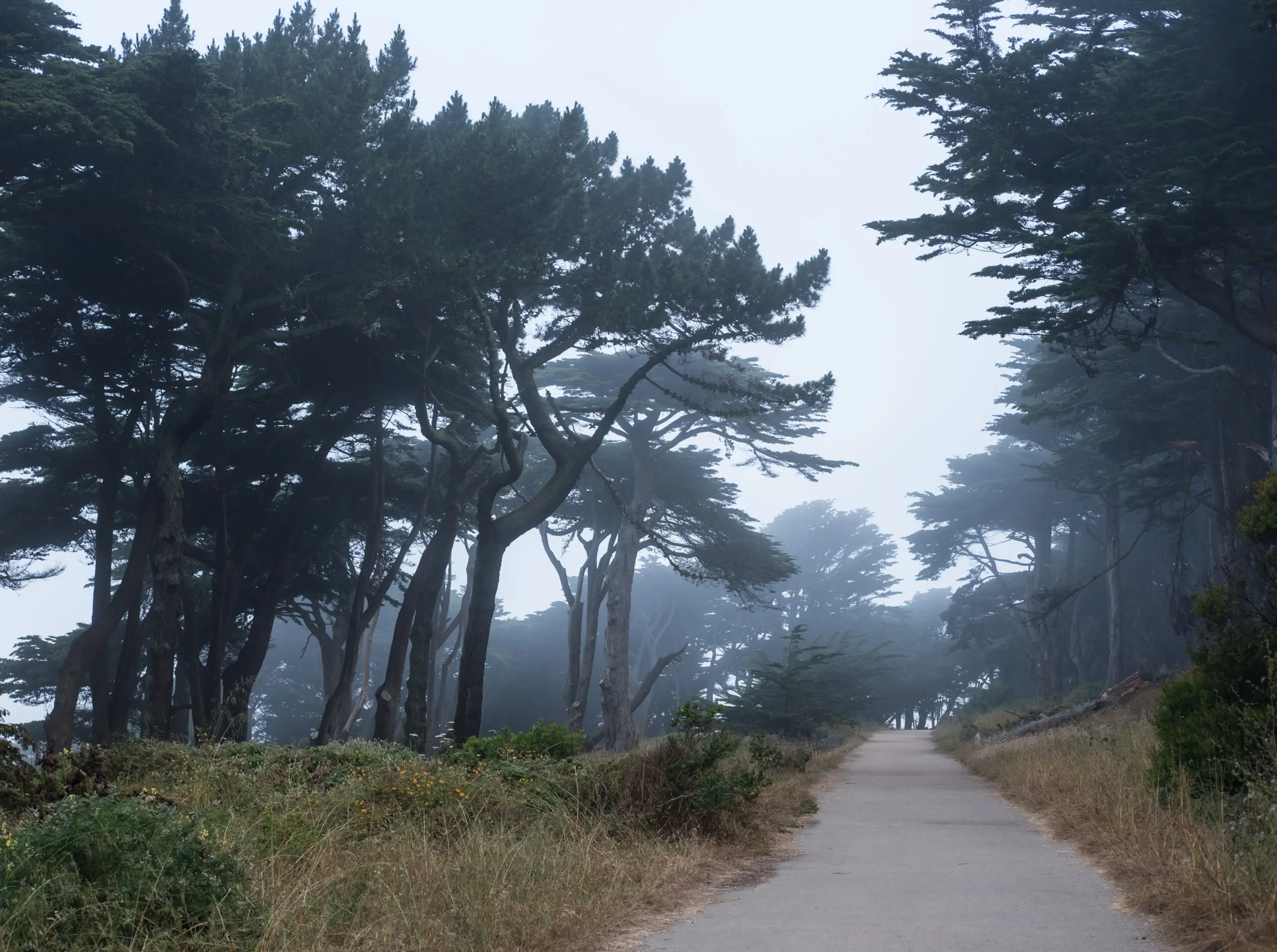 Lands End, the eighth of the 12 national park sites linked by the new Golden Gate Dozen Trail - San Francisco