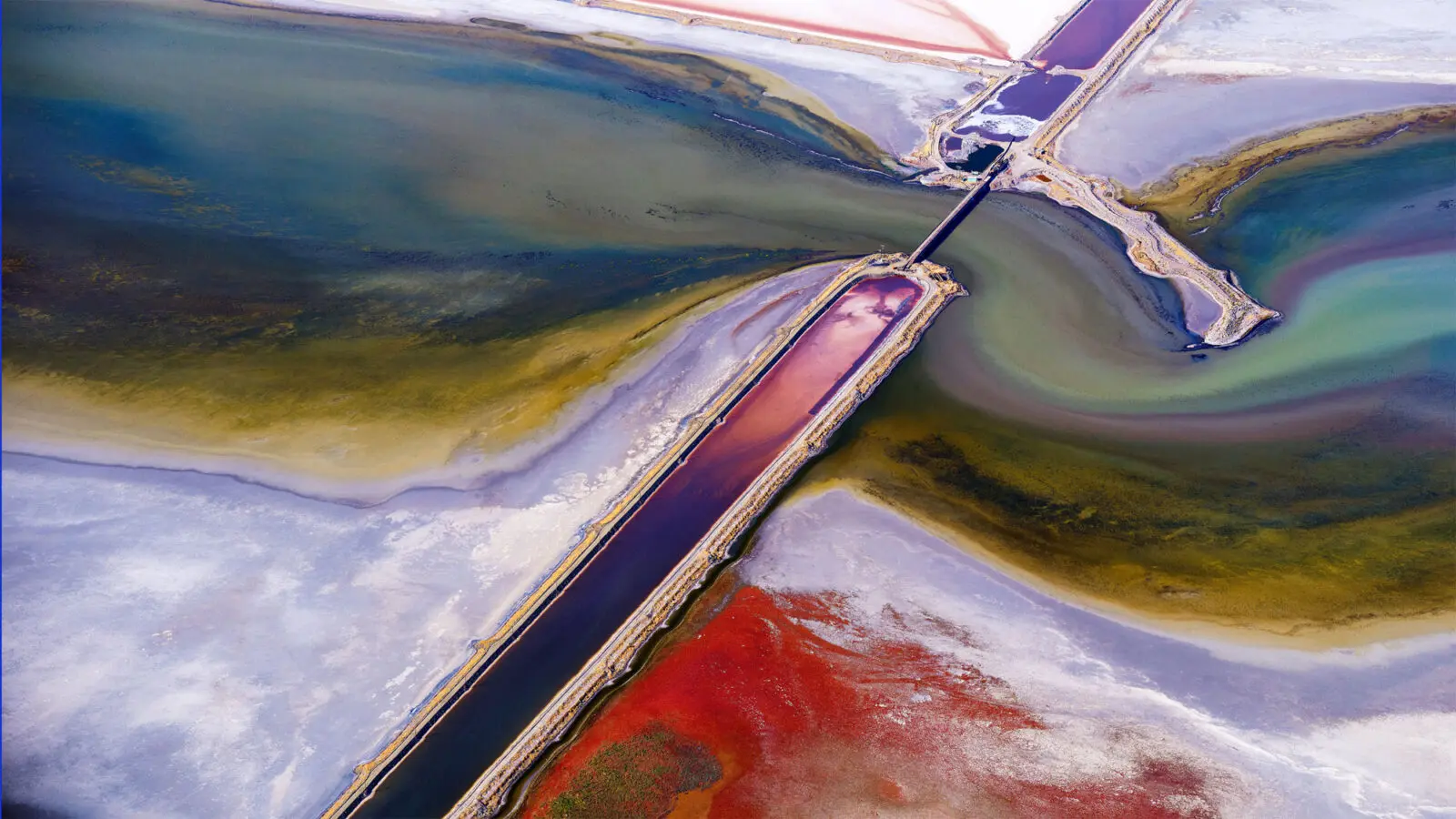 event-fort-mason-center-for-arts-cul-haines-gallery-andy-goldswort