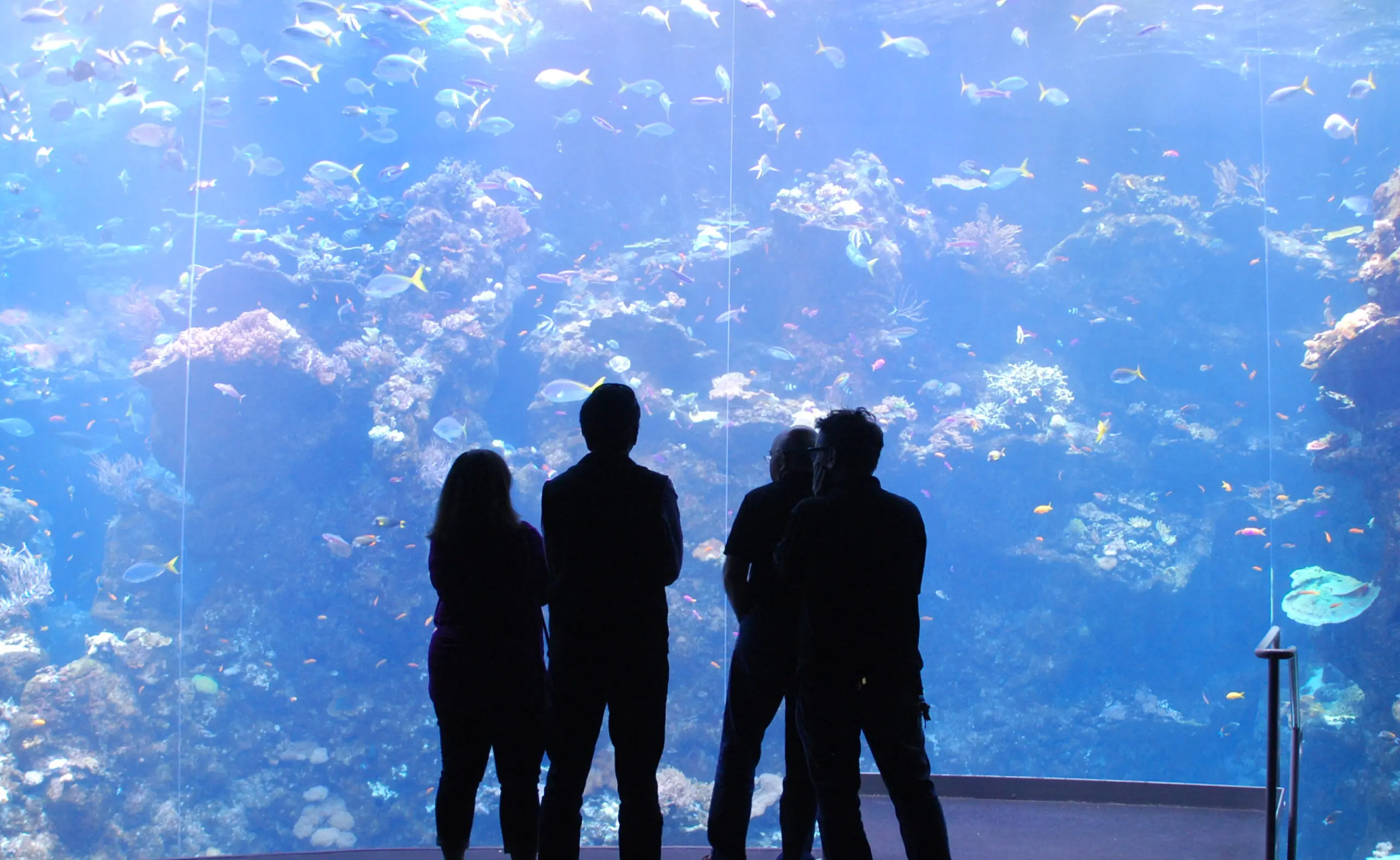 The Steinhart Aquarium at the California Academy of Sciences, host of the SuperNatural silent disco - San Francisco