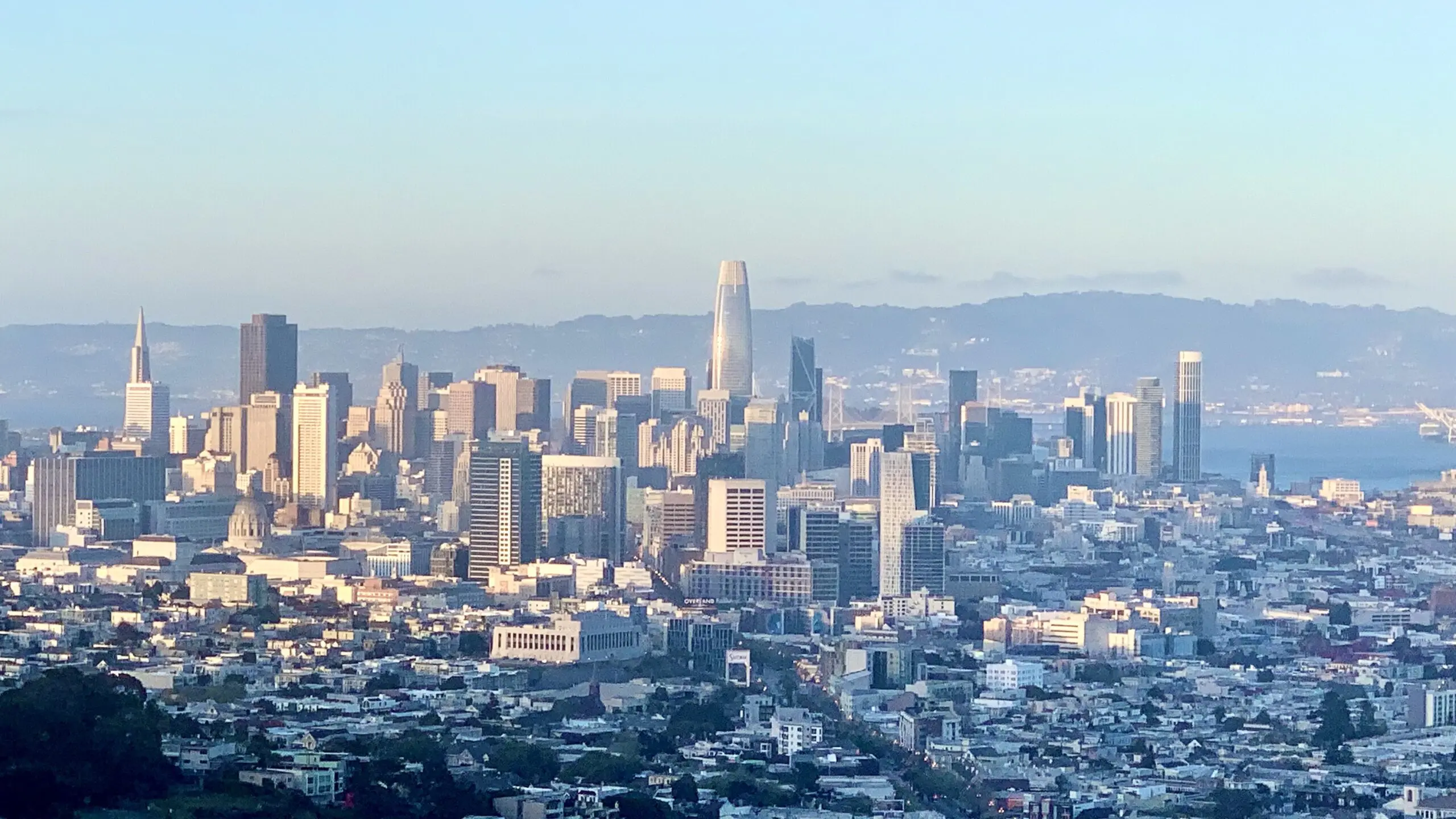 The downtown skyline seen from Twin Peaks on a clear day - San Francisco