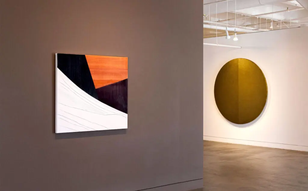 The Shape Of Looking: Rebekah Goldstein, Ricardo Mazal & David Simpson