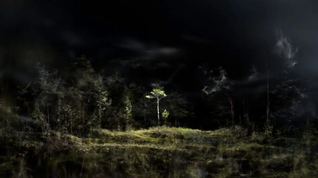 Pierce Warnecke and Matthew Biederman: Phytomorphic Topologies