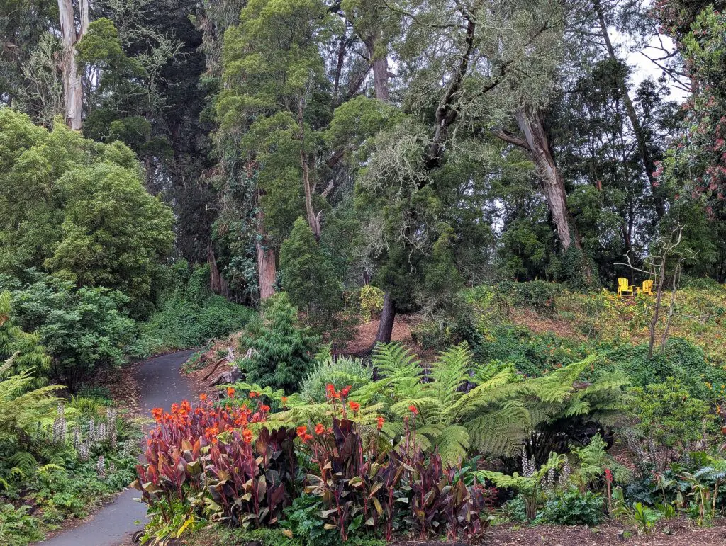 Golden Gate Park