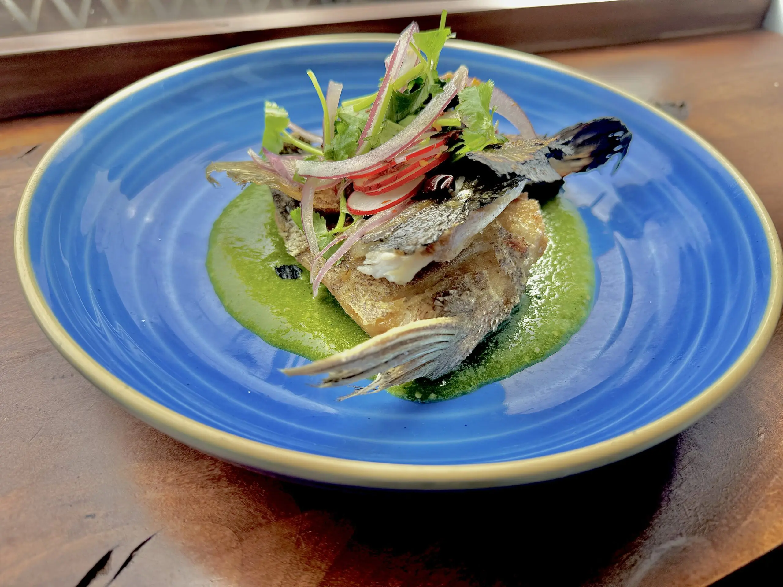A plated fish dish at Otra, the Mexican restaurant on Haight Street in the Lower Haight - San Francisco
