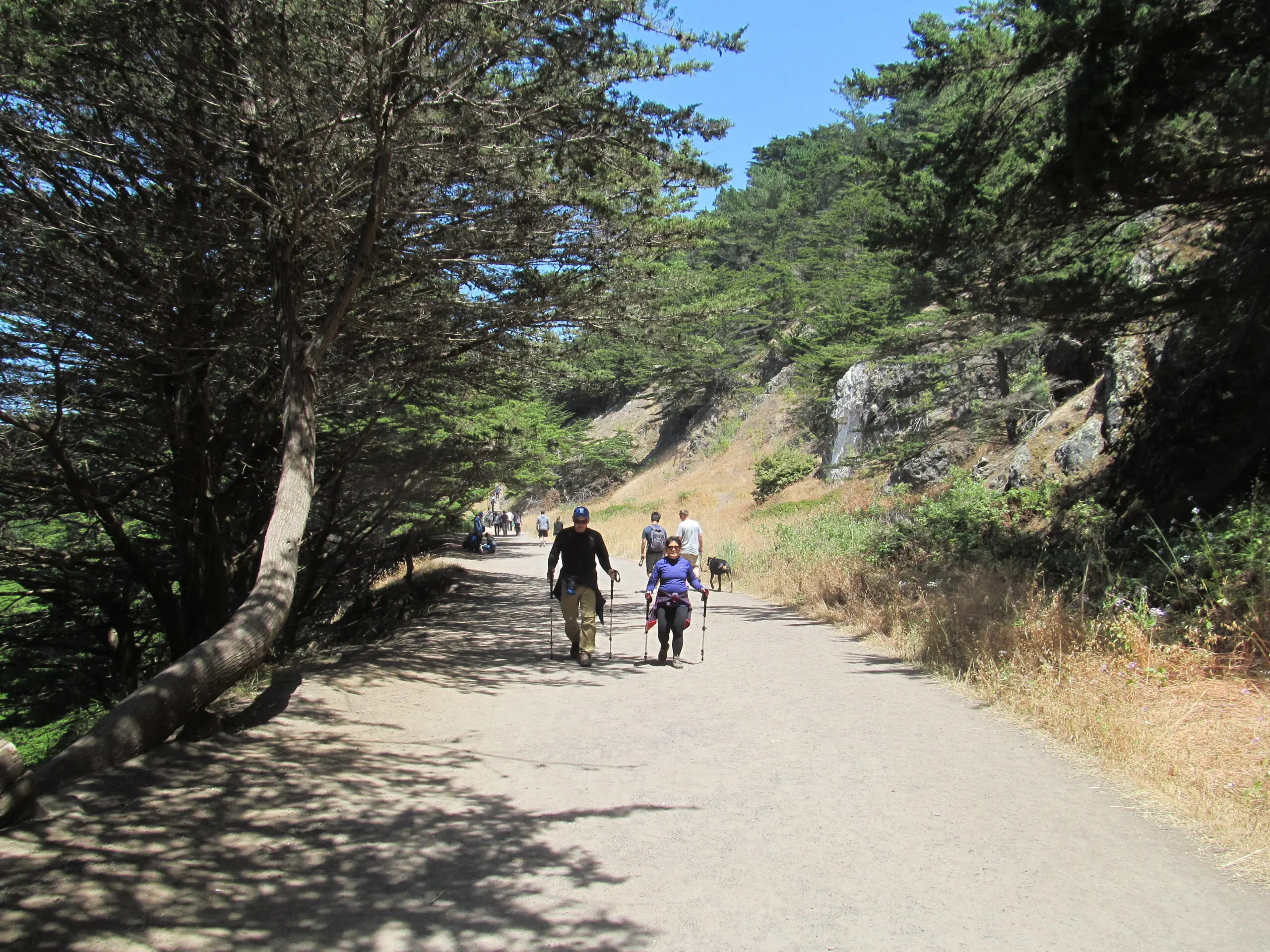The Lands End Trail above the Pacific, one of the 12 stops on the Golden Gate Dozen route - San Francisco