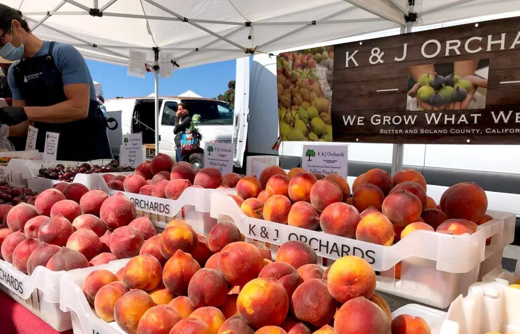 Fort Mason Center for Arts & Culture Farmers Market