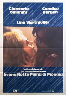Poster for A Night Full of Rain