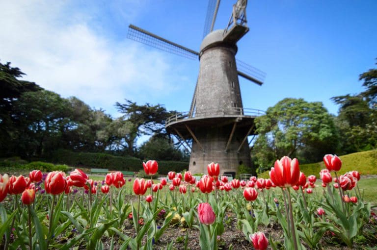 Golden Gate Park