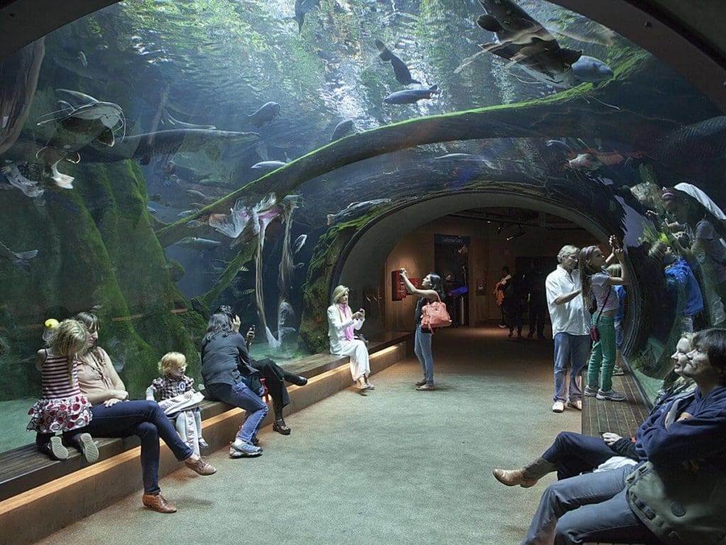 Kid friendly things to do in San Francisco