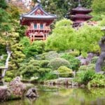 Japanese tea garden sf