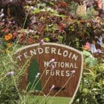 Tenderloin National Forest