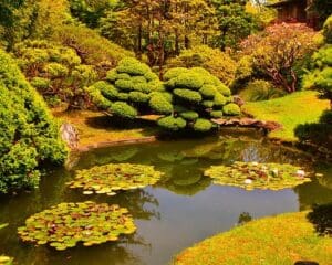 San Francisco Botanical Garden