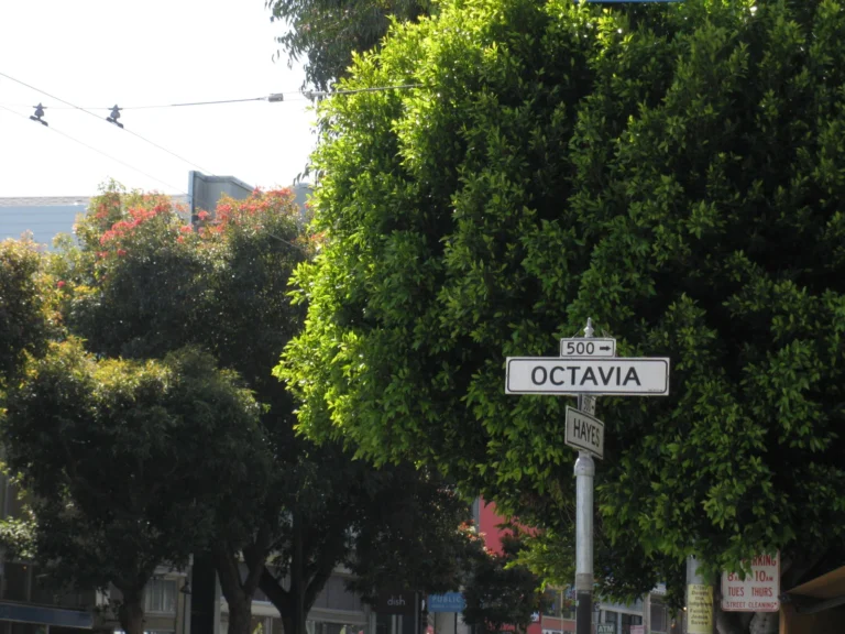 Hayes Valley