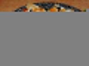 Liguria Bakery in San Francisco North Beach