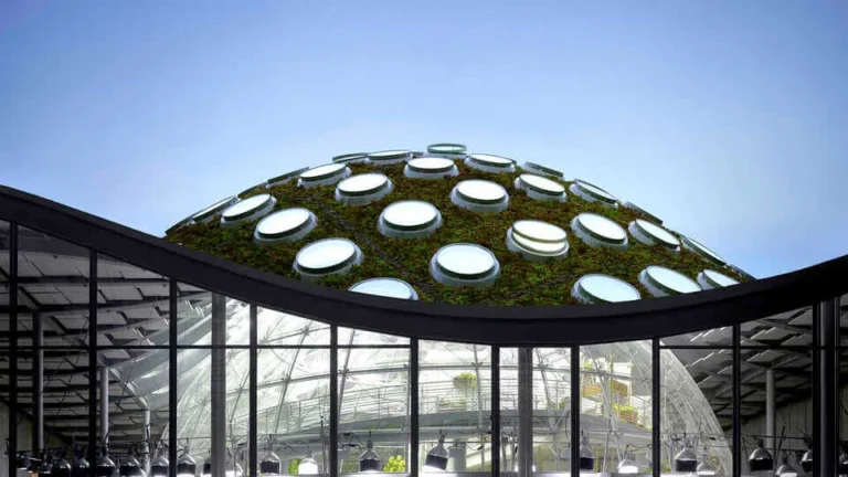 California Academy of Sciences