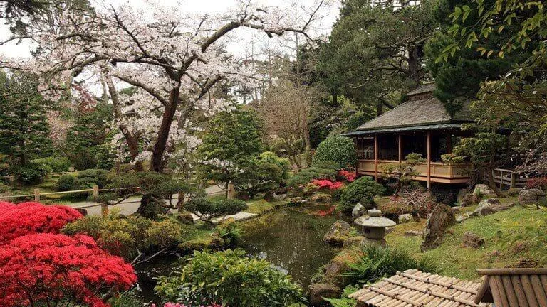 Japanese Tea Garden