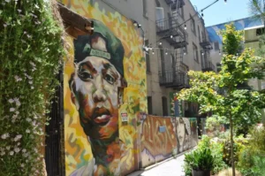 Tenderloin National Forest