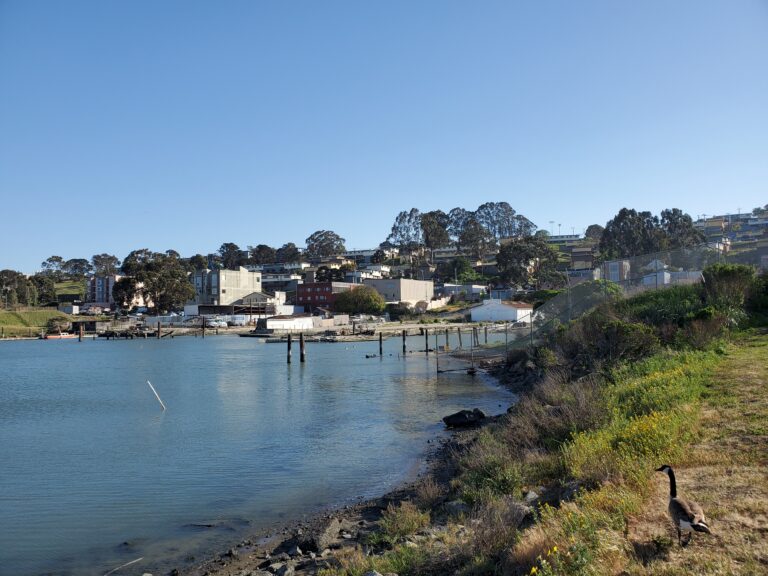 Hunters Point shoreline seen from India Basin Shoreline Park, beside the 700 Innes Avenue development site - San Francisco