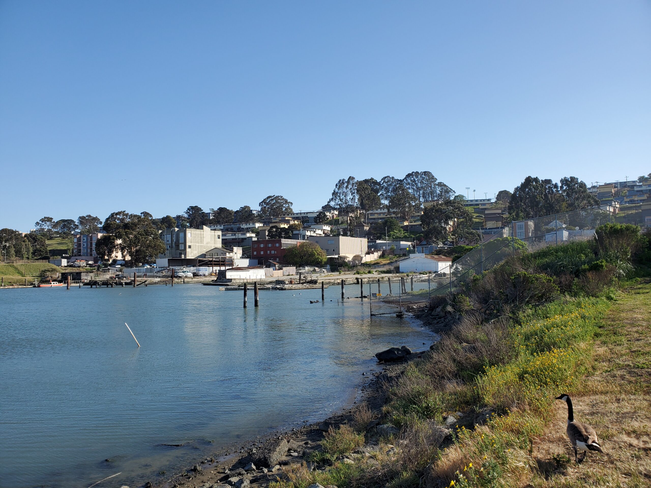 Hunters Point shoreline seen from India Basin Shoreline Park, beside the 700 Innes Avenue development site - San Francisco